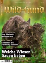 Wild und Hund – 4 Marz 2021