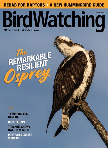BirdWatching USA – May-June 2021