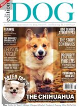 Edition Dog – Issue 24 – 29 October 2020