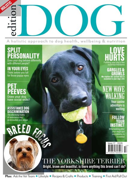 Edition Dog – Issue 17 – 27 February 2020