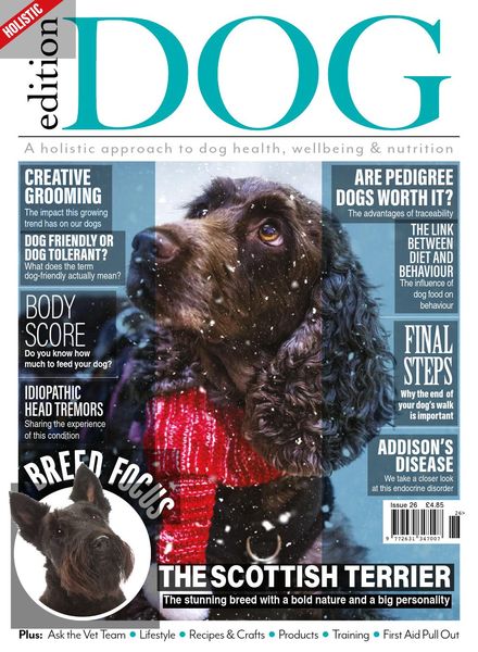 Edition Dog – Issue 25 – 26 November 2020
