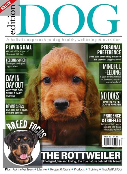 Edition Dog – Issue 30 – 1 April 2021