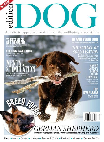 Edition Dog – Issue 2 – 29 November 2018