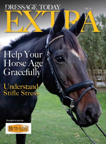 Dressage Today – November 2020
