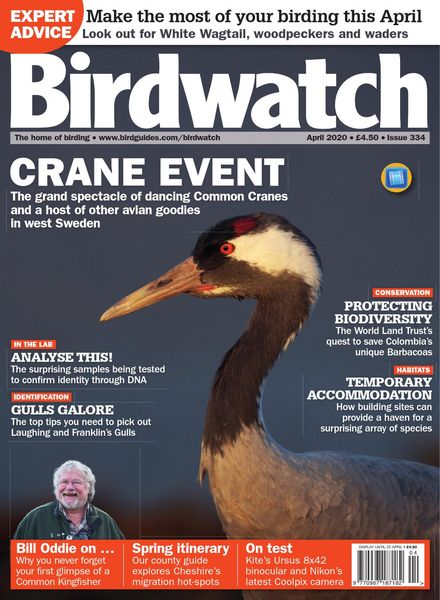 Birdwatch UK – Issue 334 – April 2020