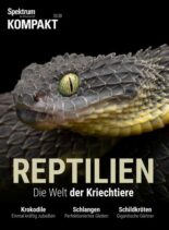 Spektrum Kompakt – 08 Juni 2020