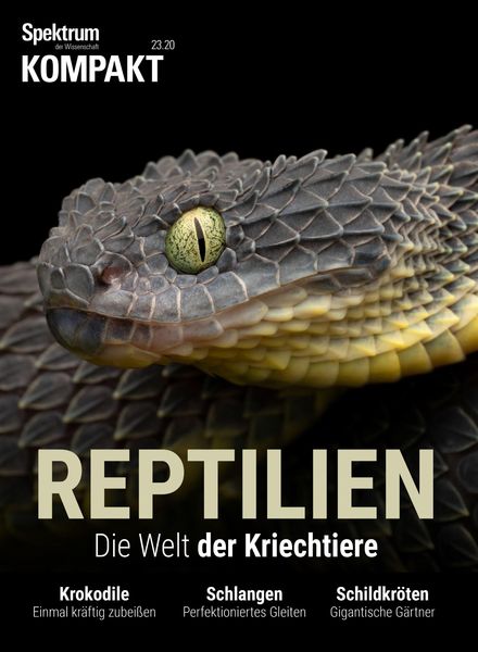 Spektrum Kompakt – 08 Juni 2020