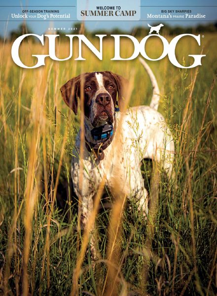 Gun Dog – June 2021