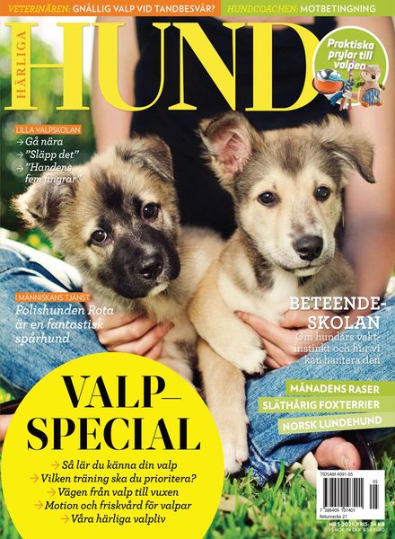 Harliga Hund – 27 april 2021