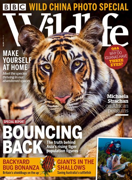 BBC Wildlife – May 2021