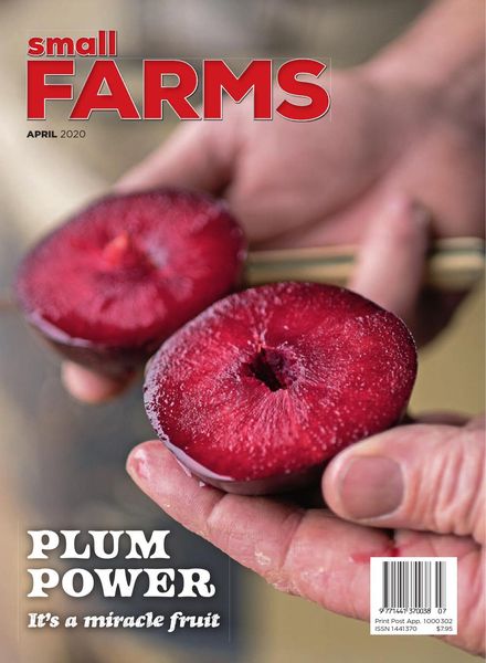 Small Farms – April 2020