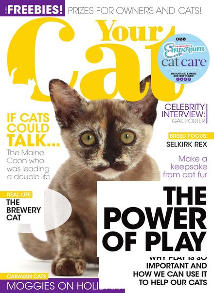 Your Cat – June 2021