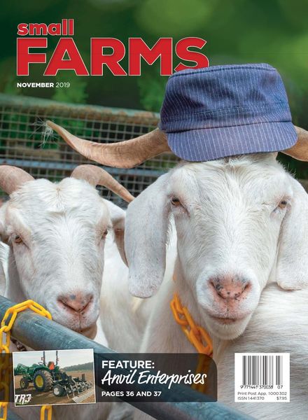 Small Farms – November 2019