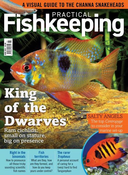 Practical Fishkeeping – June 2021
