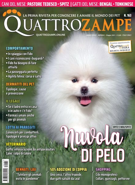 QuattroZampe – giugno 2021