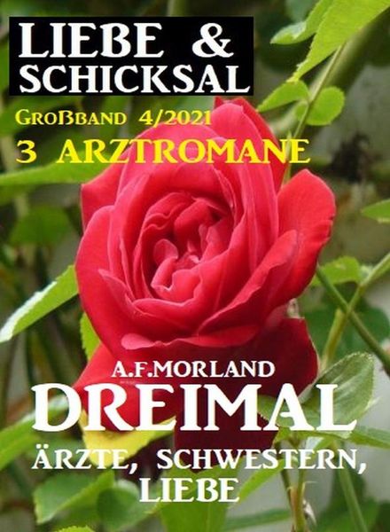Uksak Liebe & Schicksal Grossband – Nr.4 2021