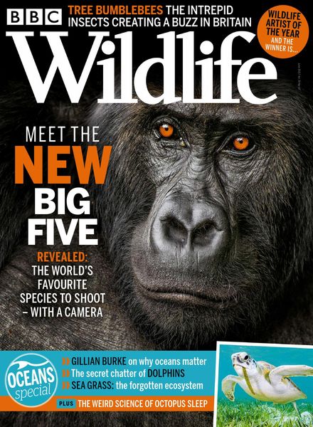 BBC Wildlife – June 2021