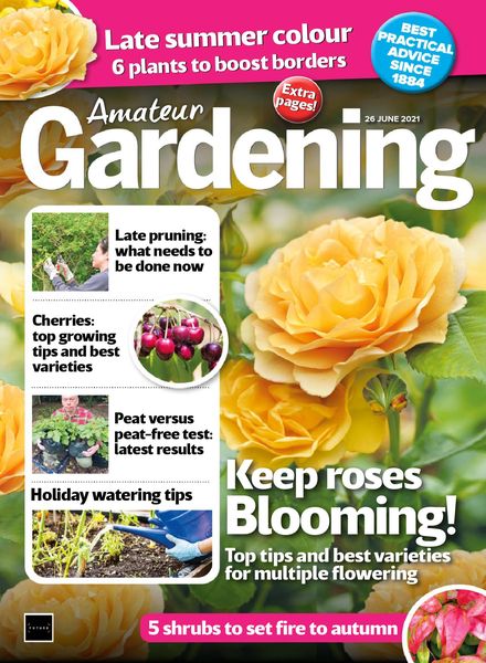 Amateur Gardening – 26 June 2021