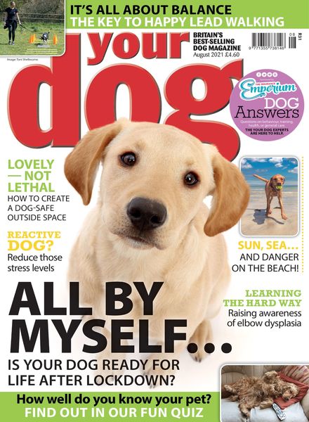 Your Dog – August 2021
