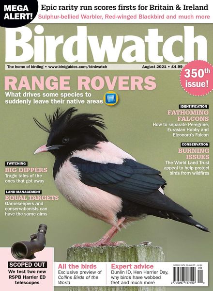 Birdwatch UK – August 2021