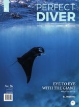 Perfect Diver – July-August 2021