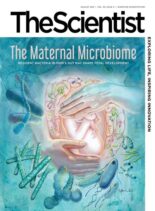 The Scientist – August 2021