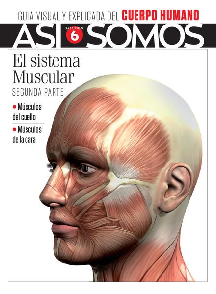 Asi Somos – El cuerpo humano – agosto 2021