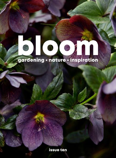Bloom – August 2021