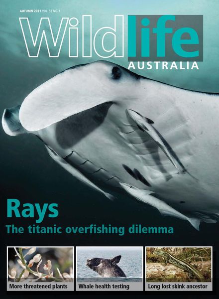 Wildlife Australia – Volume 58 N 1 – Autumn 2021