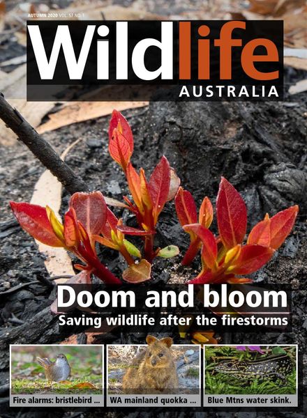 Wildlife Australia – Volume 57 N 1 – Autumn 2020