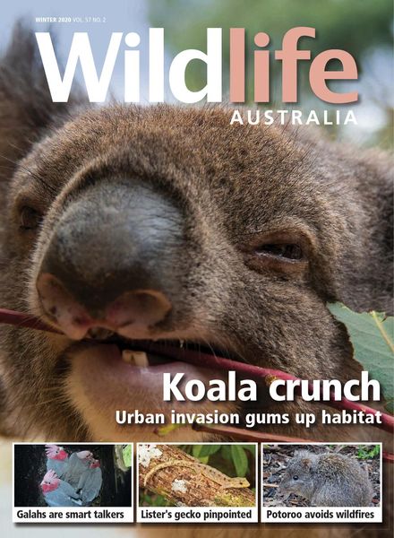 Wildlife Australia – Volume 57 N 2 – Winter 2020