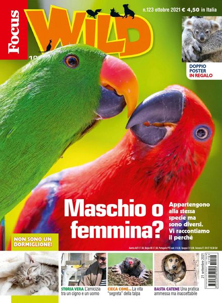Focus Wild – ottobre 2021