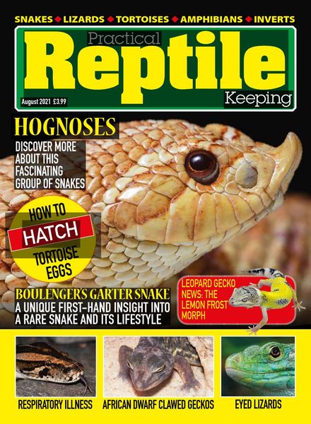 Practical Reptile Keeping – August 2021
