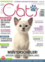 Our Cats – August 2021