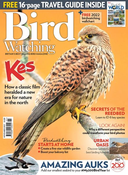 Bird Watching UK – November 2021