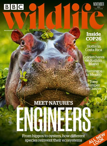 BBC Wildlife – November 2021