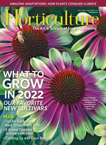 Horticulture – November 2021