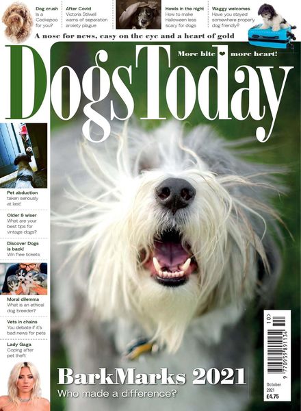 Dogs Today UK – October 2021