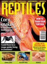 Reptiles – May-June 2020