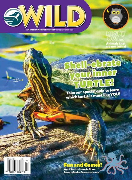 Wild Magazine for Kids – June-July 2020