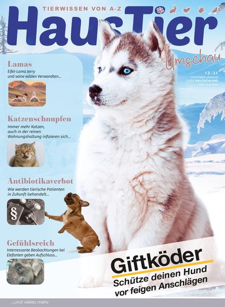 HausTier Umschau – 16 November 2021