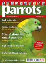 Parrots – December 2021