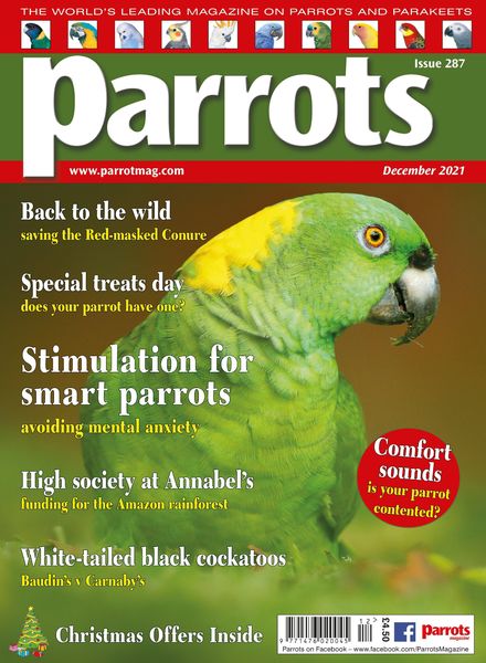 Parrots – December 2021