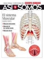 Asi Somos – El cuerpo humano – noviembre 2021
