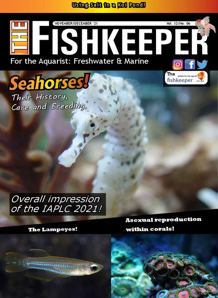 The Fishkeeper – November-December 2021