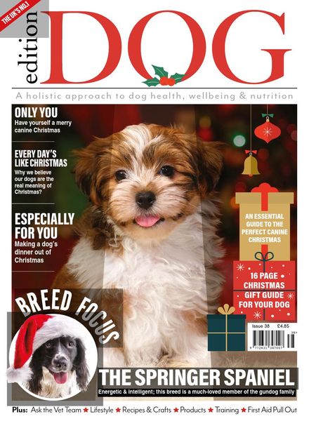 Edition Dog – Issue 38 – November 2021
