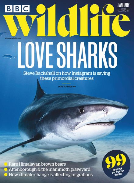 BBC Wildlife – January 2022
