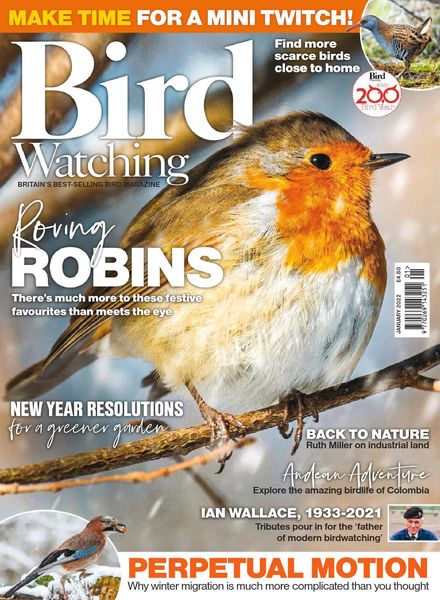 Bird Watching UK – January 2022