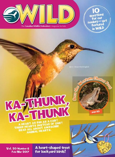 Wild Magazine for Kids – February-March 2017