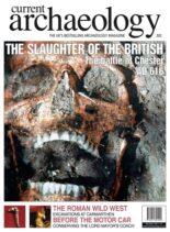 Current Archaeology – Issue 202